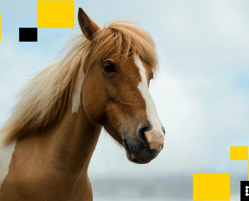 Here is why ETH’s ‘brutal stumble’ looks exactly like the start of the last bull run: Asia Morning Briefing