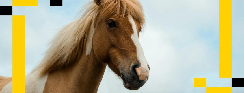 Here is why ETH’s ‘brutal stumble’ looks exactly like the start of the last bull run: Asia Morning Briefing Here is why ETH’s ‘brutal stumble’ looks exactly like the start of the last bull run: Asia Morning Briefing