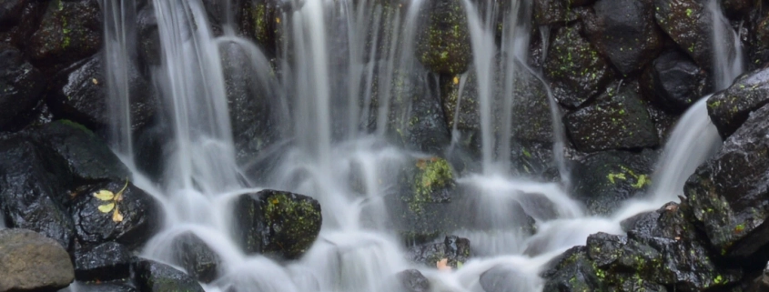 Poor implementation of AI may be behind workforce reduction