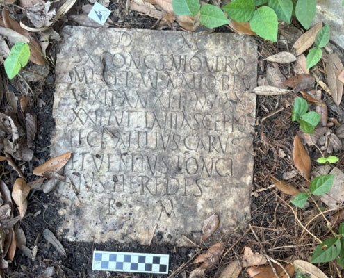 Mysterious Stone in US Backyard Turned Out to Be an Archaeological Treasure : ScienceAlert