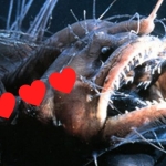 The Weirdest Love Rituals in The Animal Kingdom : ScienceAlert