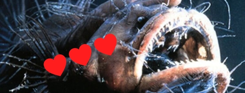 The Weirdest Love Rituals in The Animal Kingdom : ScienceAlert