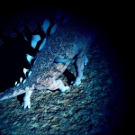 This Is How Big a Telescope Aliens Would Need to See Dinosaurs on Earth