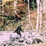 “It ain’t no unicorn”: These researchers have interviewed 130 Bigfoot hunters