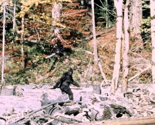 “It ain’t no unicorn”: These researchers have interviewed 130 Bigfoot hunters