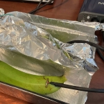 In Blind Test, Audiophiles Unable to Tell Difference Between Sound Signal Run Through an Expensive Cable and a Banana