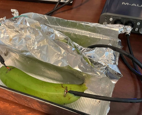 In Blind Test, Audiophiles Unable to Tell Difference Between Sound Signal Run Through an Expensive Cable and a Banana