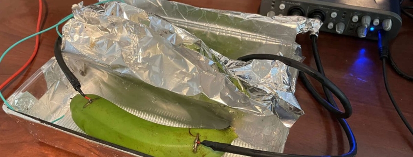 In Blind Test, Audiophiles Unable to Tell Difference Between Sound Signal Run Through an Expensive Cable and a Banana