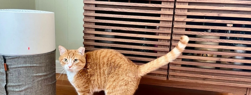 This air purifier is a must for pet parents, and it’s up to  off for Presidents’ Day