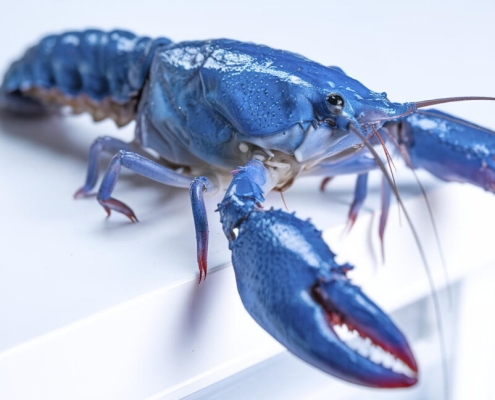 OpenClaw security fears lead Meta, other AI firms to restrict its use