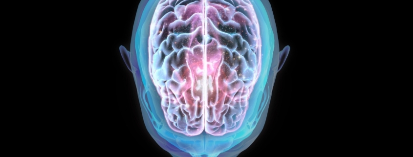 Spaceflight Can Alter The Position of The Human Brain, Study Finds : ScienceAlert