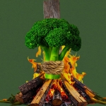 RFK Jr. follows a carnivore diet. That doesn’t mean you should.