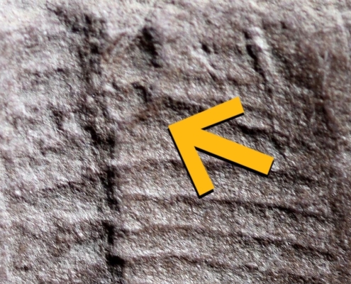 The Breaking Bad Effect, The Oldest Butthole, And More! : ScienceAlert