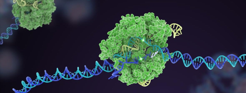 Souped-Up CRISPR Gene Editor Replicates and Spreads Like a Virus