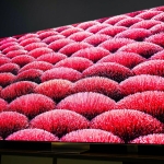 LG is done with 8K TVs, and it’s about time we admitted the tech failed