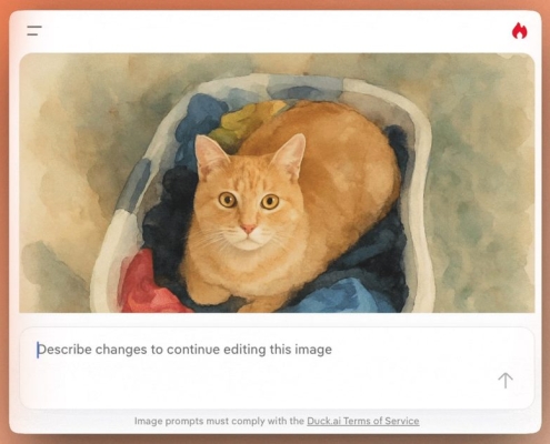 DuckDuckGo rolls out AI-powered image editing on Duck.ai