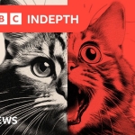 AI ‘slop’ is transforming social media