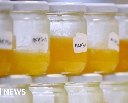 Why food fraud persists, even with improving tech