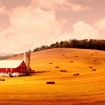 Farmer Hailed as Hero for Rejecting Huge Payment to Turn His Land Into a Giant Data Center