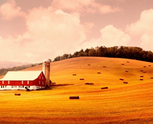 Farmer Hailed as Hero for Rejecting Huge Payment to Turn His Land Into a Giant Data Center