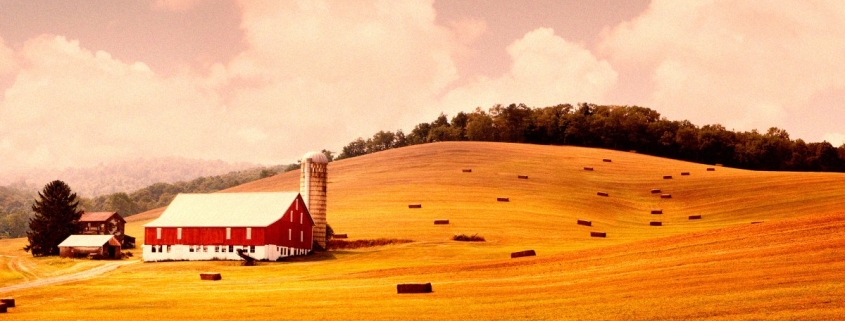 Farmer Hailed as Hero for Rejecting Huge Payment to Turn His Land Into a Giant Data Center