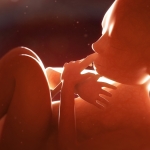 Placenta May Hide Early Warning Signs of Schizophrenia Risk : ScienceAlert Placenta May Hide Early Warning Signs of Schizophrenia Risk : ScienceAlert