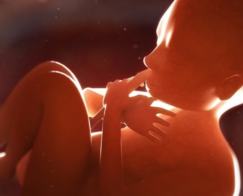 Placenta May Hide Early Warning Signs of Schizophrenia Risk : ScienceAlert Placenta May Hide Early Warning Signs of Schizophrenia Risk : ScienceAlert