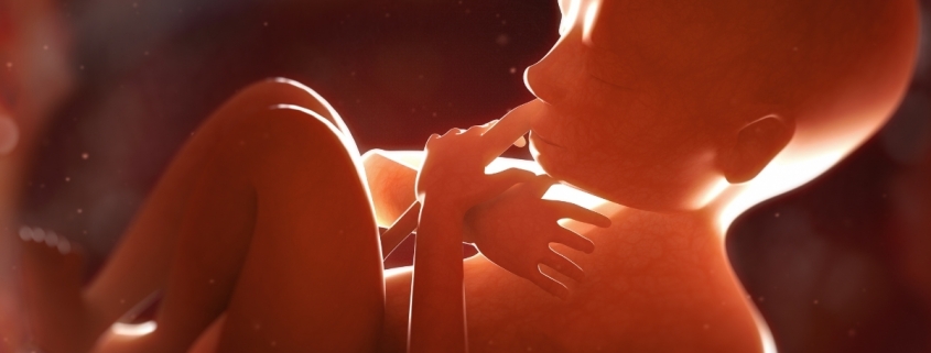 Placenta May Hide Early Warning Signs of Schizophrenia Risk : ScienceAlert