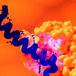 GLP-1s Are an Environmental Catastrophe