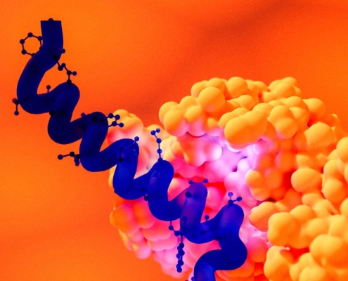 GLP-1s Are an Environmental Catastrophe