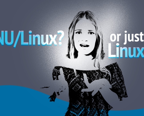 GNU/Linux or Just Linux? Between Purism and Everyday Usage GNU/Linux or Just Linux? Between Purism and Everyday Usage
