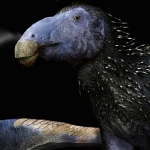 This Strange Spiky Dinosaur Had Skin Unlike Anything We’ve Ever Seen : ScienceAlert