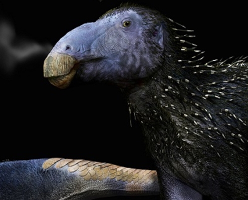 This Strange Spiky Dinosaur Had Skin Unlike Anything We’ve Ever Seen : ScienceAlert