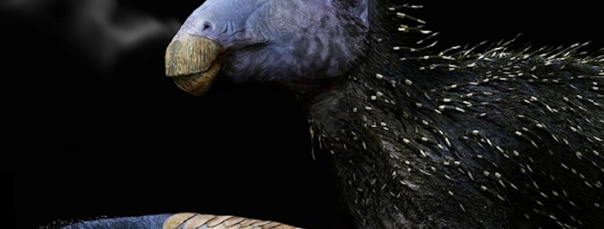 This Strange Spiky Dinosaur Had Skin Unlike Anything We’ve Ever Seen : ScienceAlert