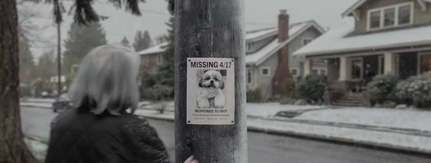 Why so many people hate Ring’s ‘Search Party’ Super Bowl ad