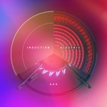 Gas vs. Electric vs. Induction Stoves: How to Choose the Right Range