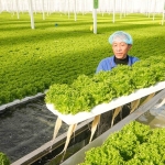 China’s Farming Robots Are A Lot More Than Just Fancy Tractors