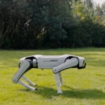 China’s Robot Dogs Do A Lot More Than Fetch
