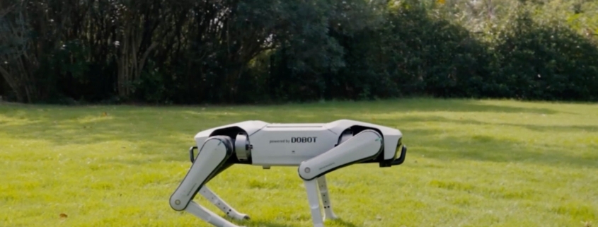 China’s Robot Dogs Do A Lot More Than Fetch