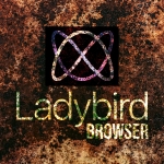 Ladybird Starts Rewriting Its Browser Engine in Rust with Help from AI