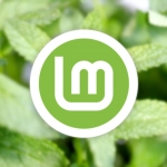 Linux Mint 23 adds encrypted home folder option for new user accounts