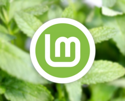 Linux Mint 23 adds encrypted home folder option for new user accounts