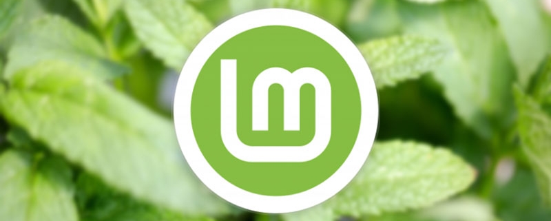 Linux Mint 23 adds encrypted home folder option for new user accounts Linux Mint 23 adds encrypted home folder option for new user accounts