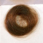 Mormon Hair Clippings Preserve Legacy of US Ban on Leaded Gas : ScienceAlert