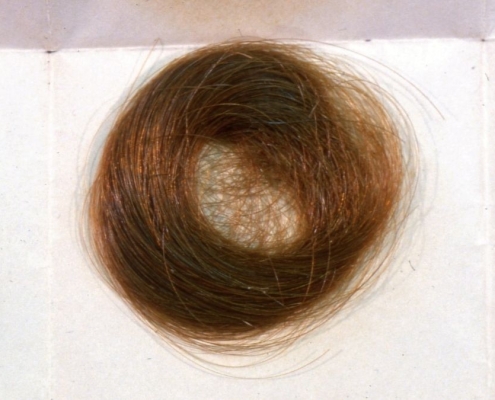 Mormon Hair Clippings Preserve Legacy of US Ban on Leaded Gas : ScienceAlert