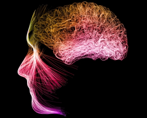 Meditation Can Reshape Your Brain Activity, Study Reveals : ScienceAlert Meditation Can Reshape Your Brain Activity, Study Reveals : ScienceAlert