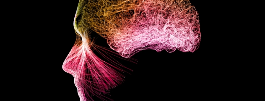 Meditation Can Reshape Your Brain Activity, Study Reveals : ScienceAlert