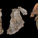 World’s Oldest Known Pieces of Sewn Clothing Sat in an Oregon Cave for 12,000 Years World’s Oldest Known Pieces of Sewn Clothing Sat in an Oregon Cave for 12,000 Years