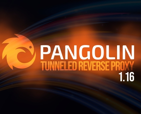 Pangolin 1.16 Tunneled Reverse Proxy Adds SSH Auth Daemon