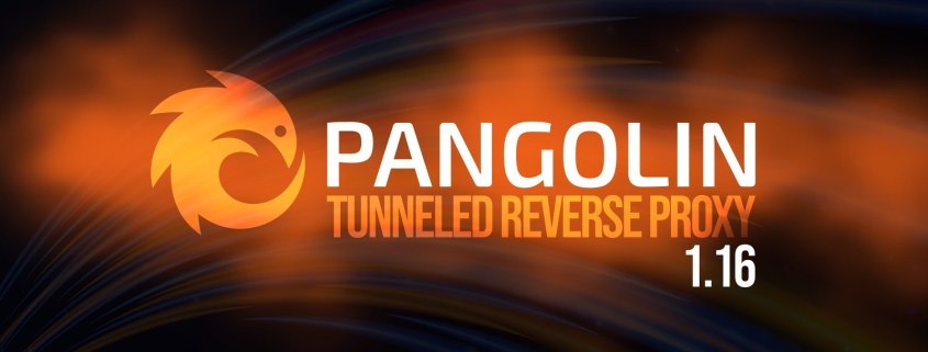Pangolin 1.16 Tunneled Reverse Proxy Adds SSH Auth Daemon